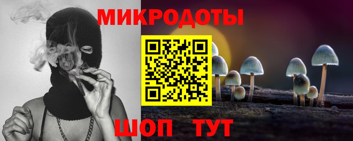 Галлюциногенные грибы Psilocybine cubensis  что такое   Вход с VPN  Урюпинск  Псилоцибиновые грибы Psilocybine cubensis 